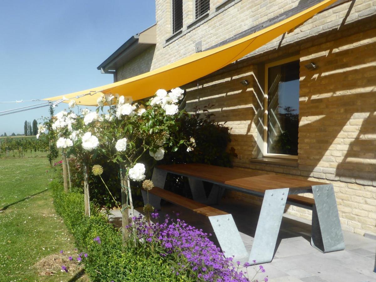 Bed and Breakfast De Zevende Zon Poperinge Exterior foto